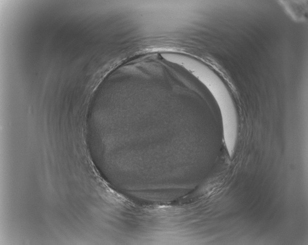 X0000060550385200511171544