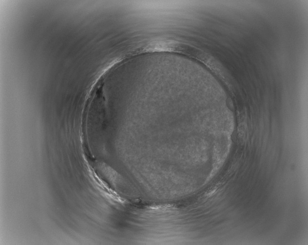 X0000060550386200511171544