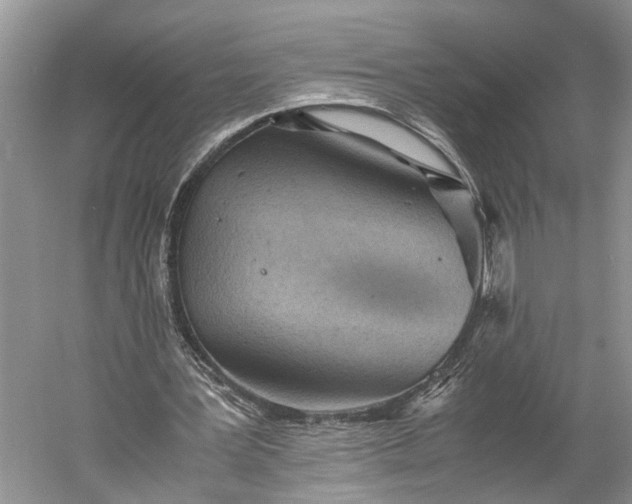 X0000060550387200511171544