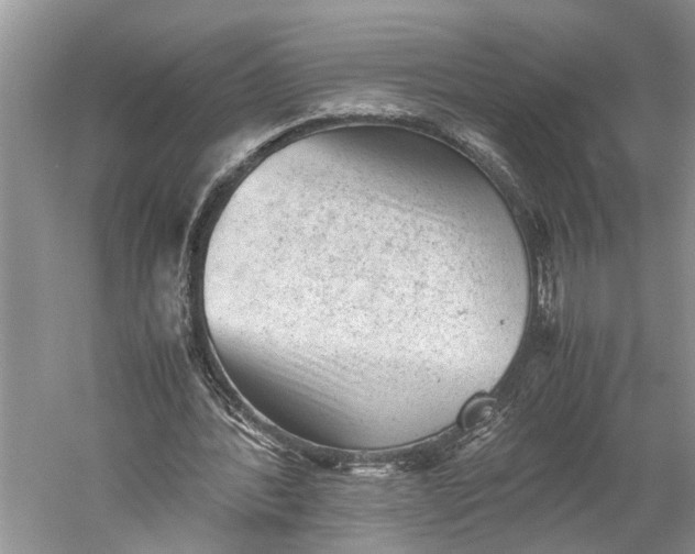 X0000060550388200511171544