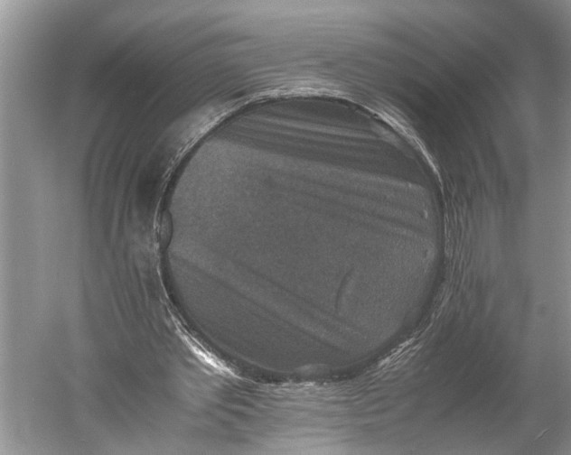 X0000060550389200511171544