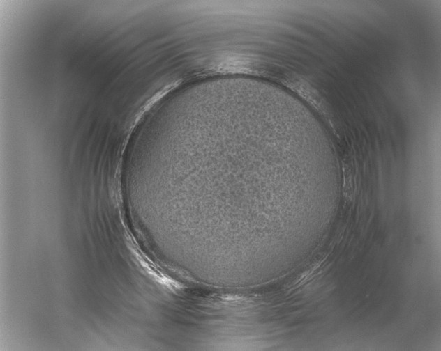 X0000060550390200511171544