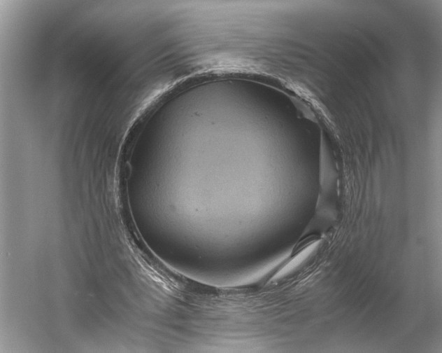 X0000060550391200511171544