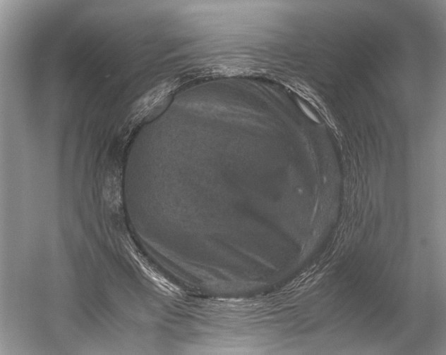 X0000060550393200511171544