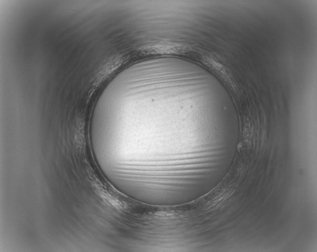 X0000060550394200511171544