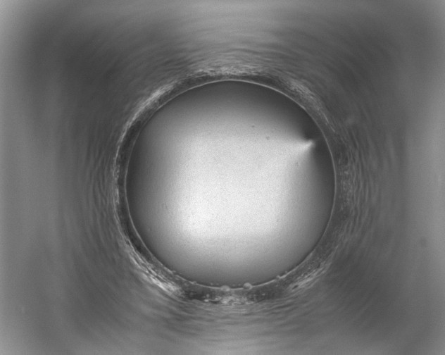 X0000060550395200511171544