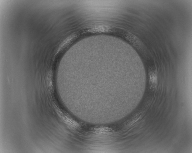 X0000060550396200511171544