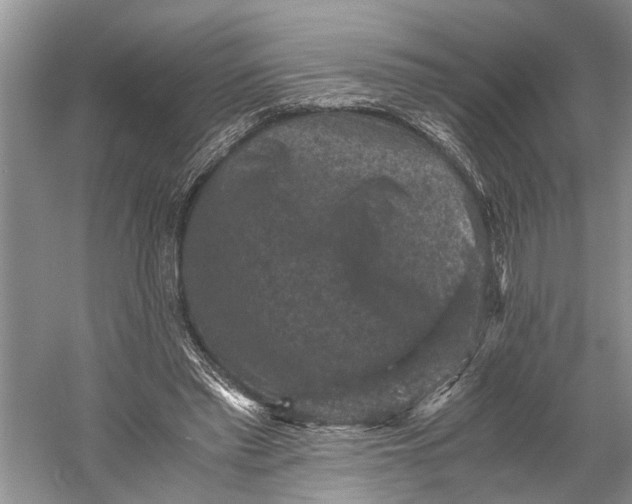 X0000060550397200511171544