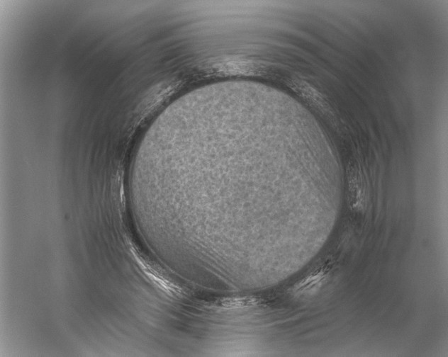 X0000060550398200511171544