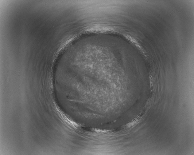 X0000060550399200511171544