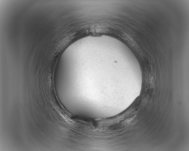 X0000060550401200511171544