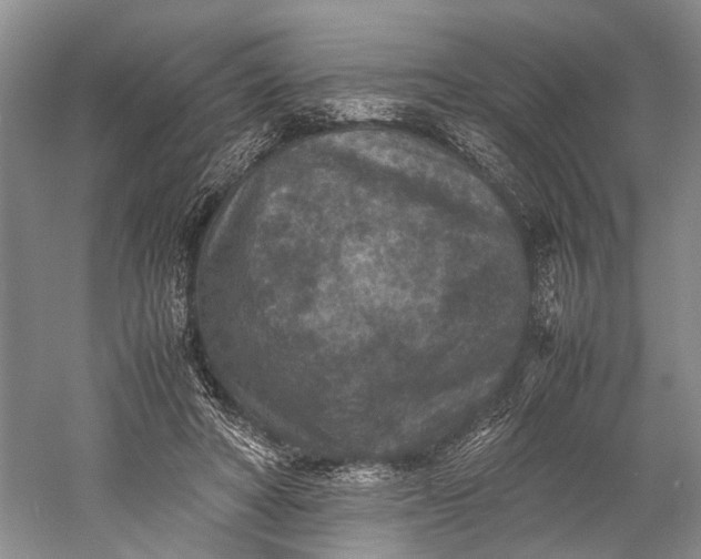 X0000060550402200511171544