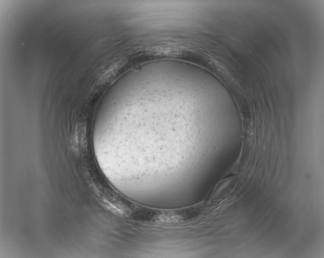 X0000060550403200511171544