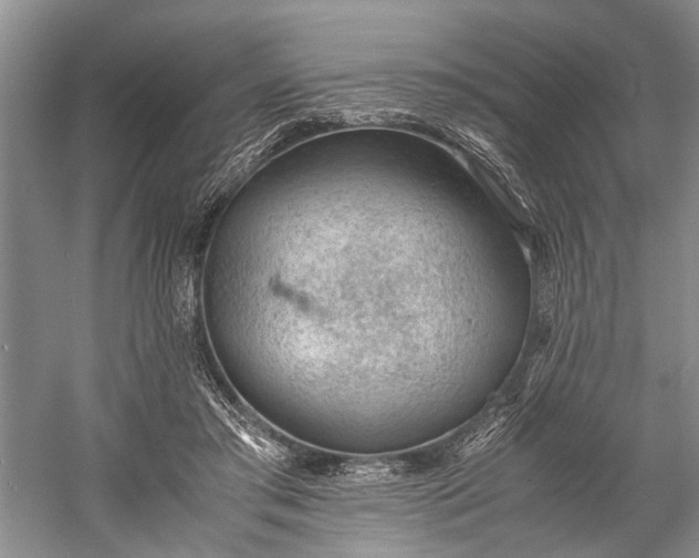 X0000060550405200511171544