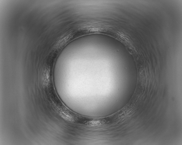 X0000060550406200511171544