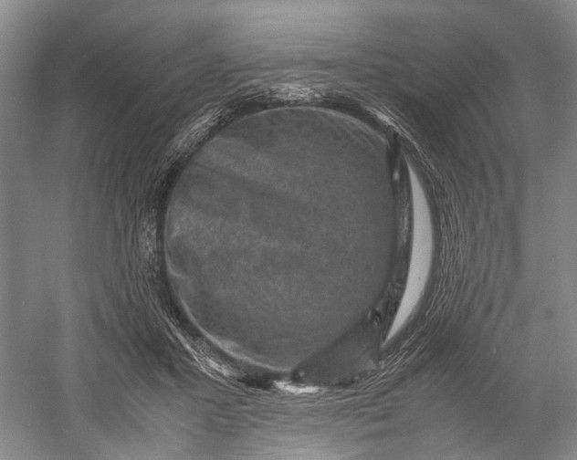 X0000060550407200511171544