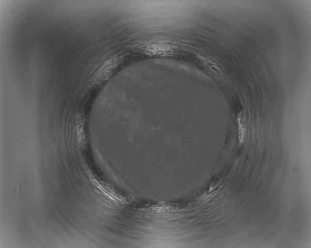 X0000060550408200511171544