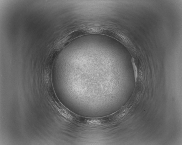 X0000060550409200511171544