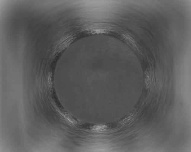 X0000060550410200511171544