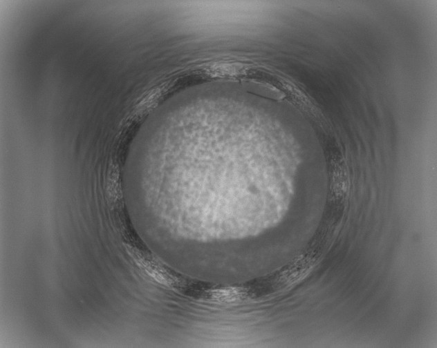 X0000060550411200511171544