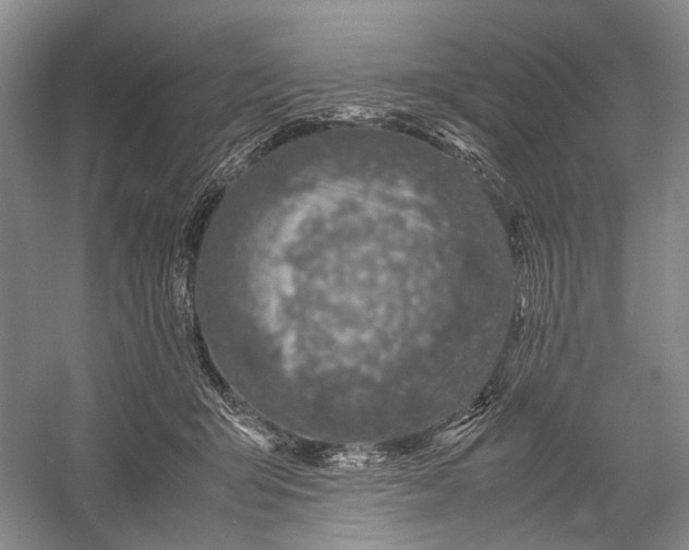 X0000060550415200511171544