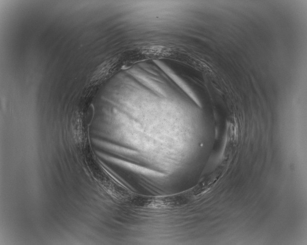 X0000060550416200511171544