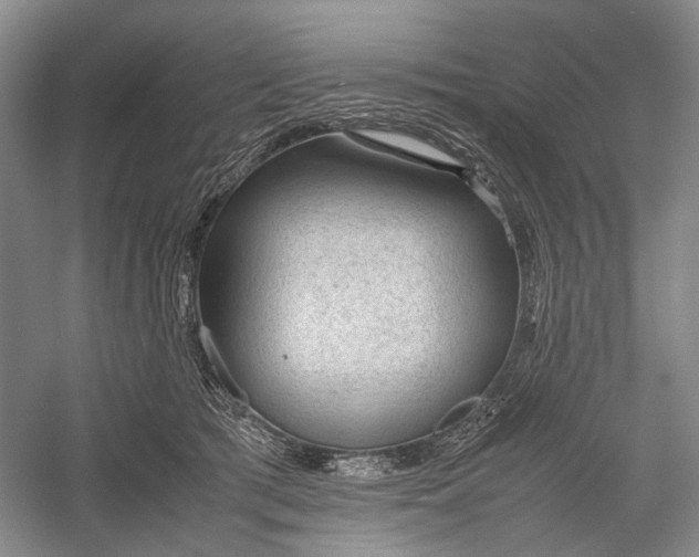 X0000060550417200511171544