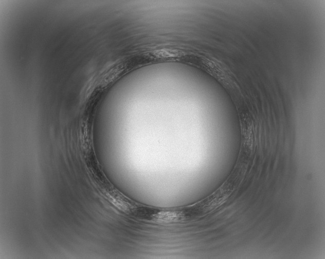 X0000060550418200511171544