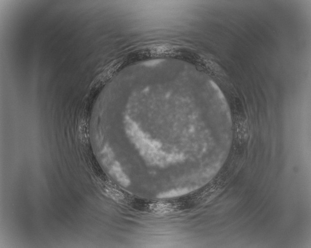 X0000060550419200511171544