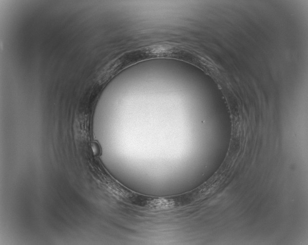 X0000060550421200511171544