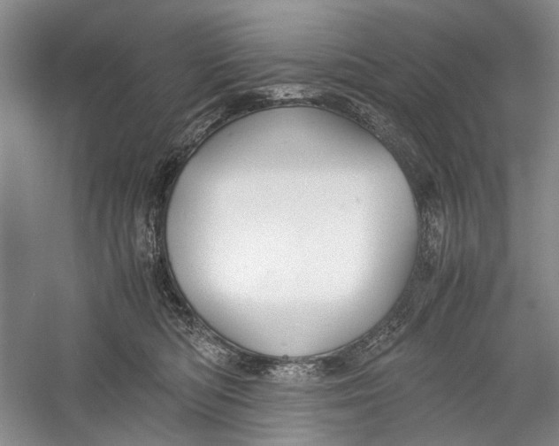 X0000060550422200511171544