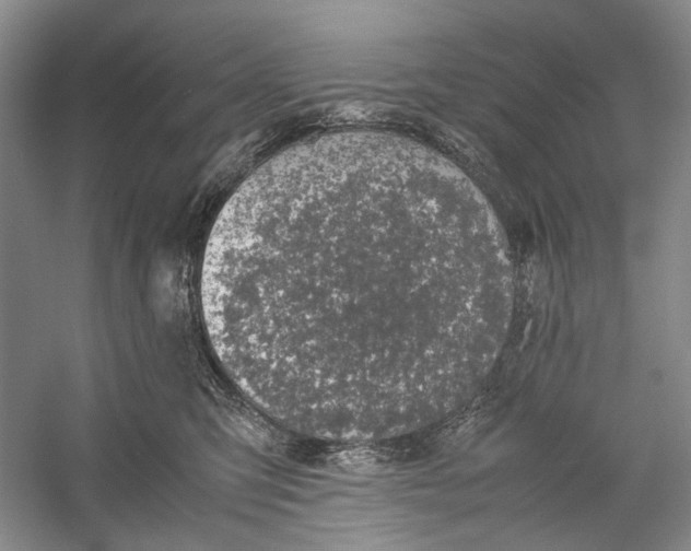 X0000060550423200511171544