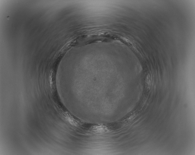 X0000060550424200511171544