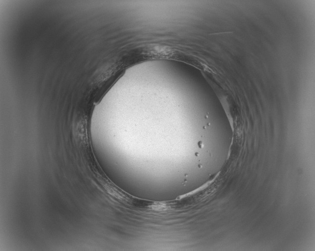 X0000060550425200511171544