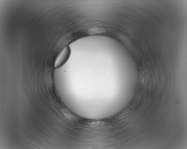 X0000060550426200511171544