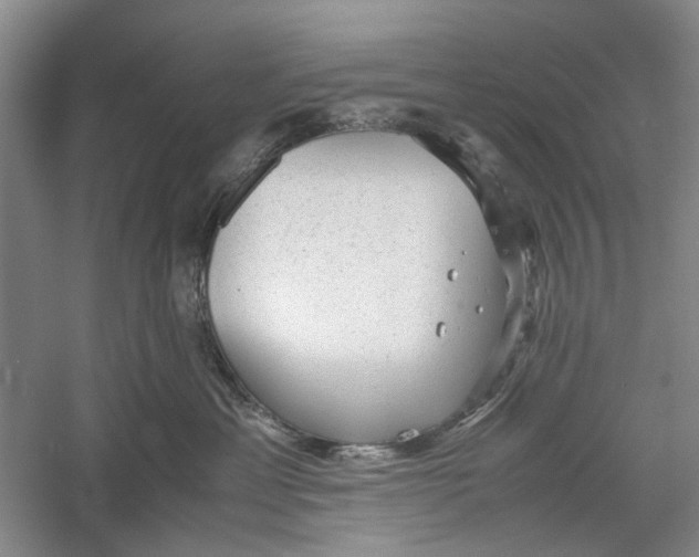 X0000060550429200511171543