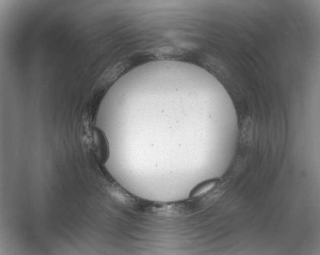 X0000060550430200511171543