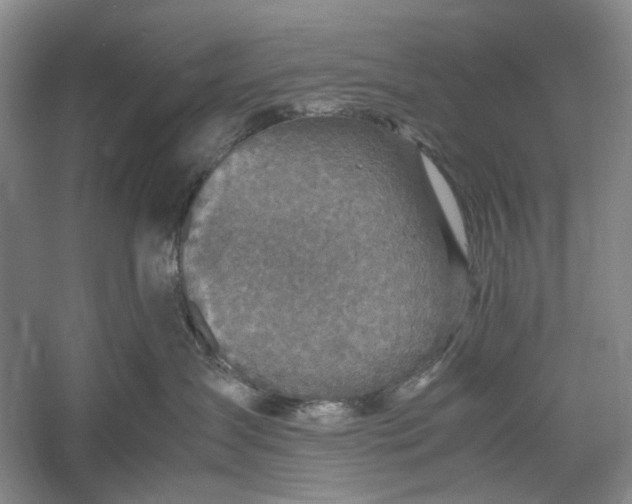 X0000060550431200511171543