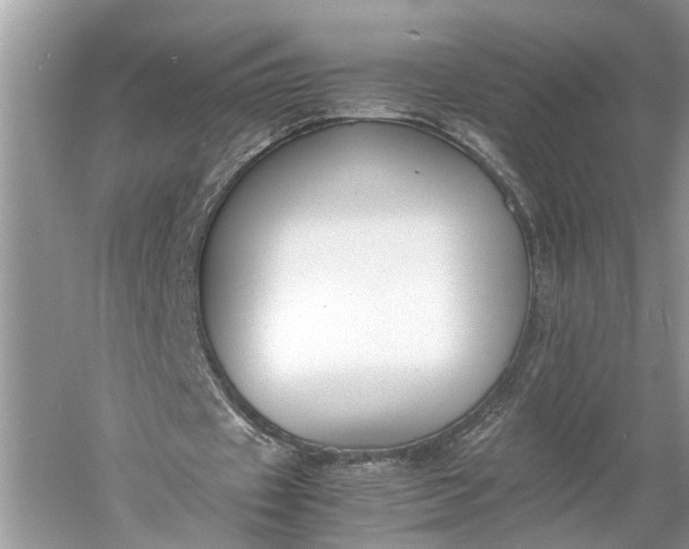 X0000060550433200511171543