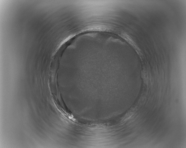 X0000060550434200511171543