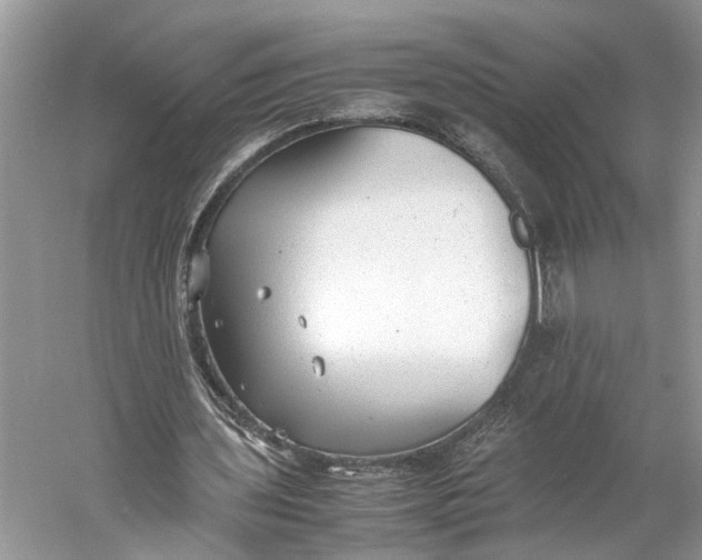 X0000060550435200511171543