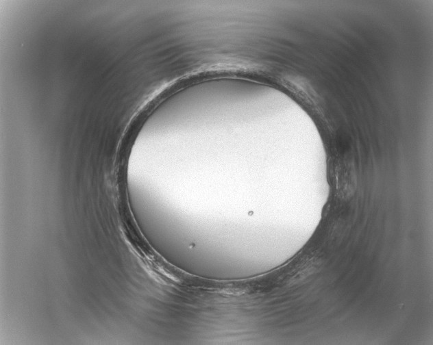 X0000060550436200511171543