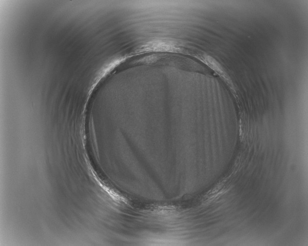 X0000060550438200511171543