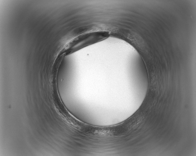 X0000060550440200511171543