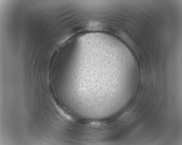 X0000060550441200511171543