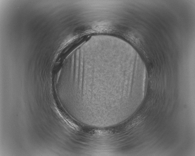 X0000060550442200511171543