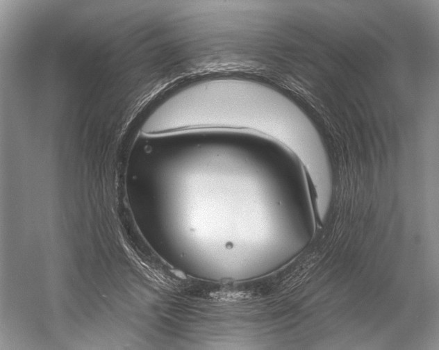 X0000060550448200511171543