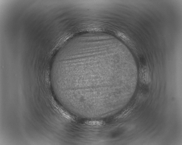 X0000060550449200511171543