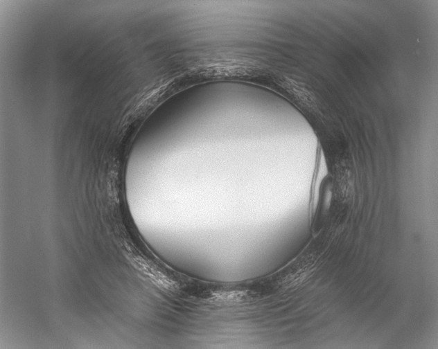 X0000060550450200511171543