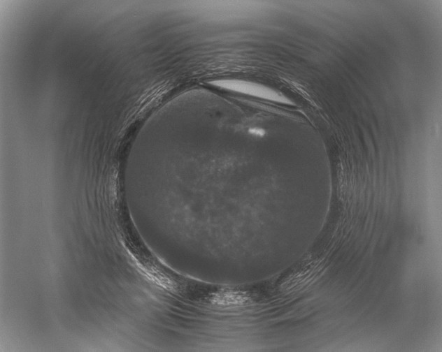 X0000060550451200511171543